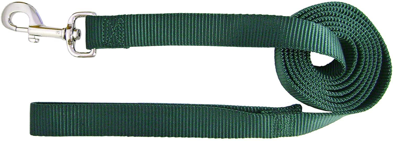 Hamilton Single Thick Nylon Dog Leash, Dark Green, 1-in x 4-ft