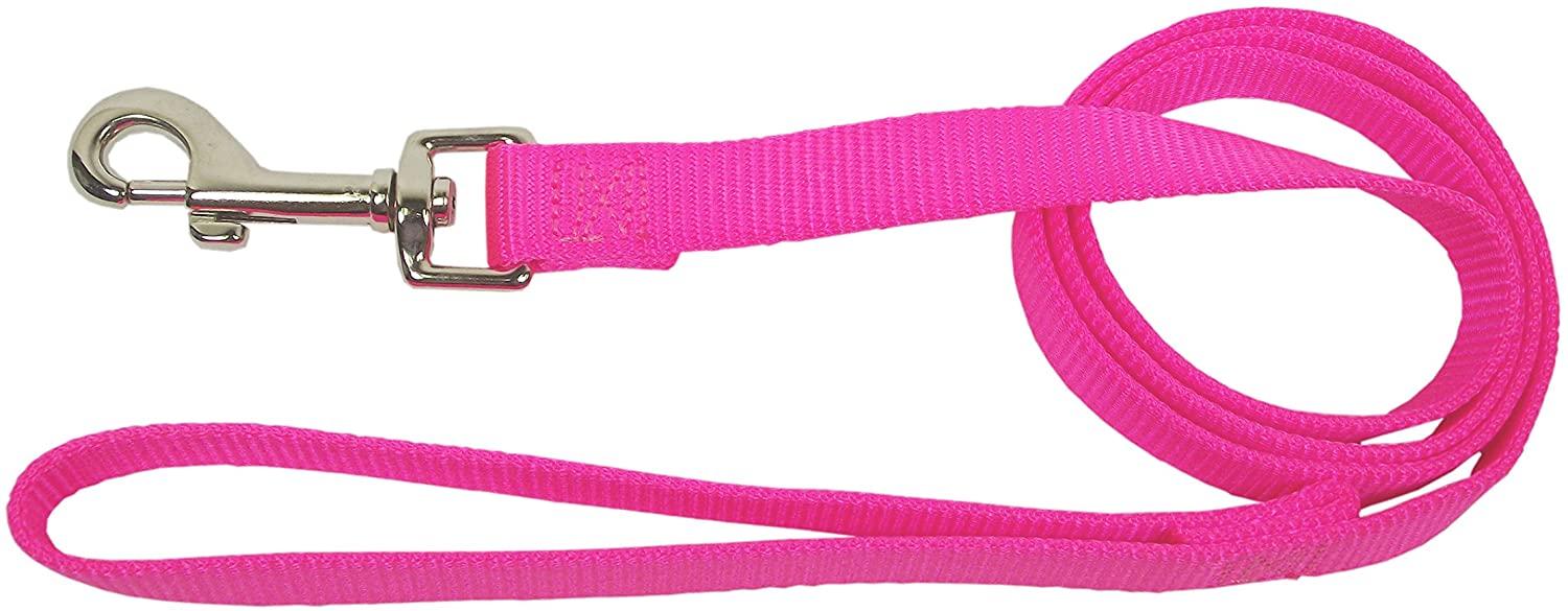 Hamilton Single Thick Nylon Dog Leash, Hot Pink, 1-in x 6-ft