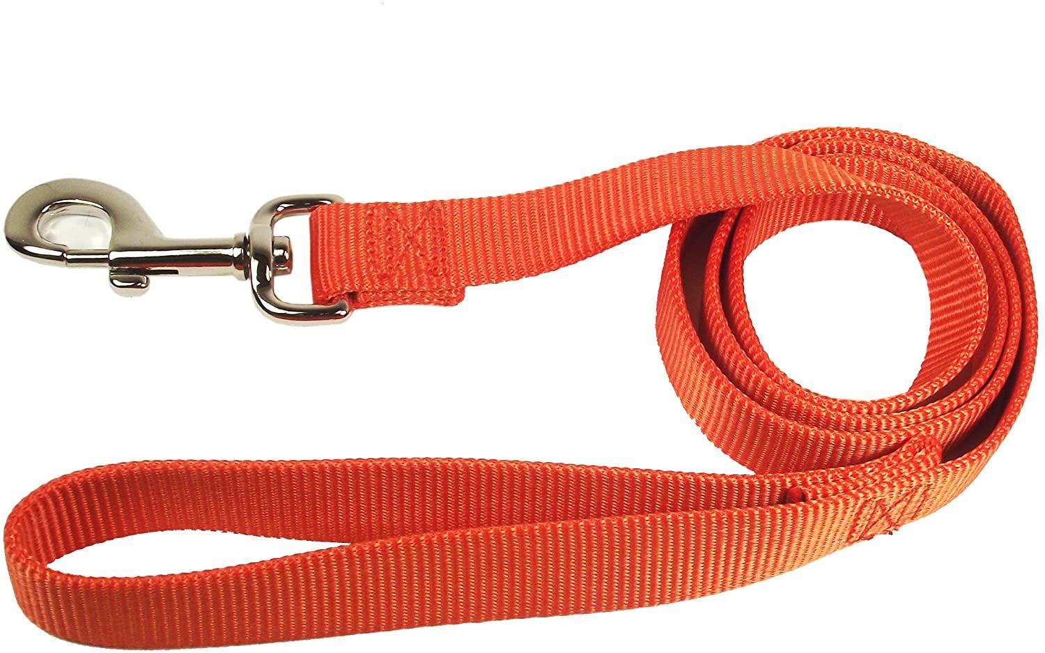 Hamilton Single Thick Nylon Dog Leash, Mango, 1-in x 4-ft