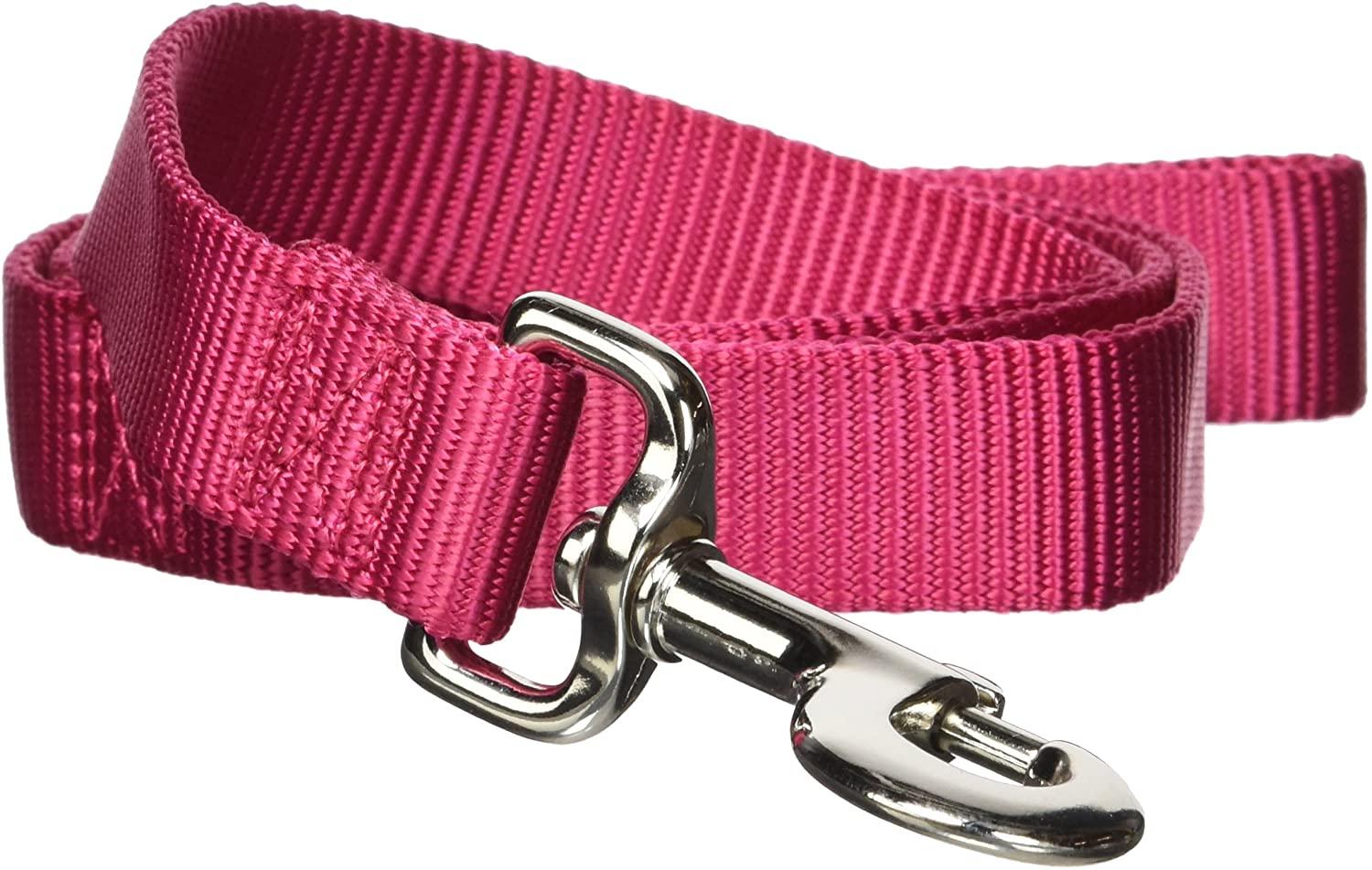 Hamilton Single Thick Nylon Dog Leash, Raspberry, 1-in x 4-ft