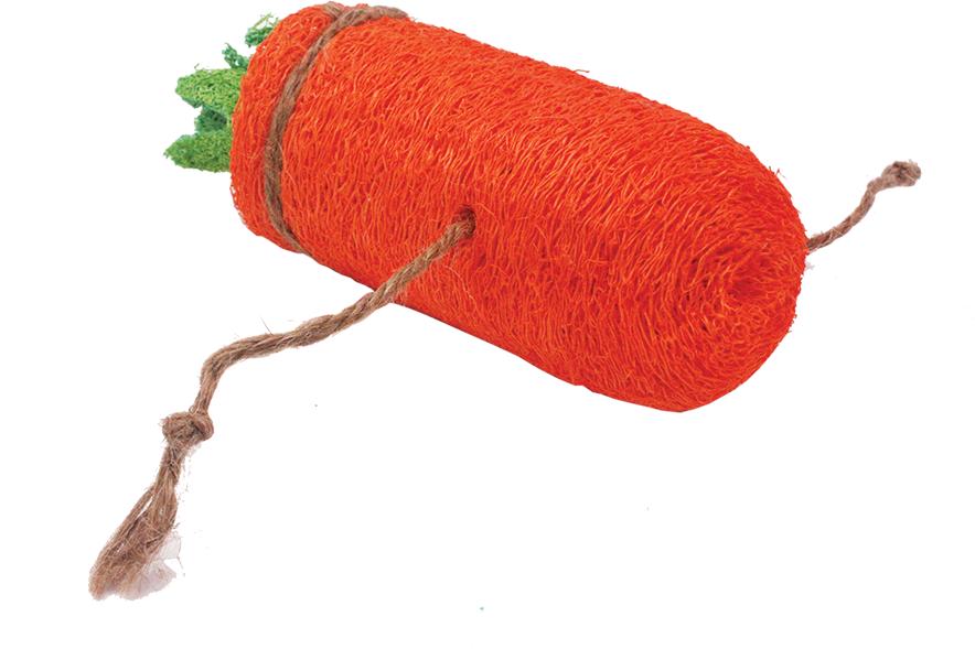 A&E Cage Company Loofah Carrot Small Animal Toy