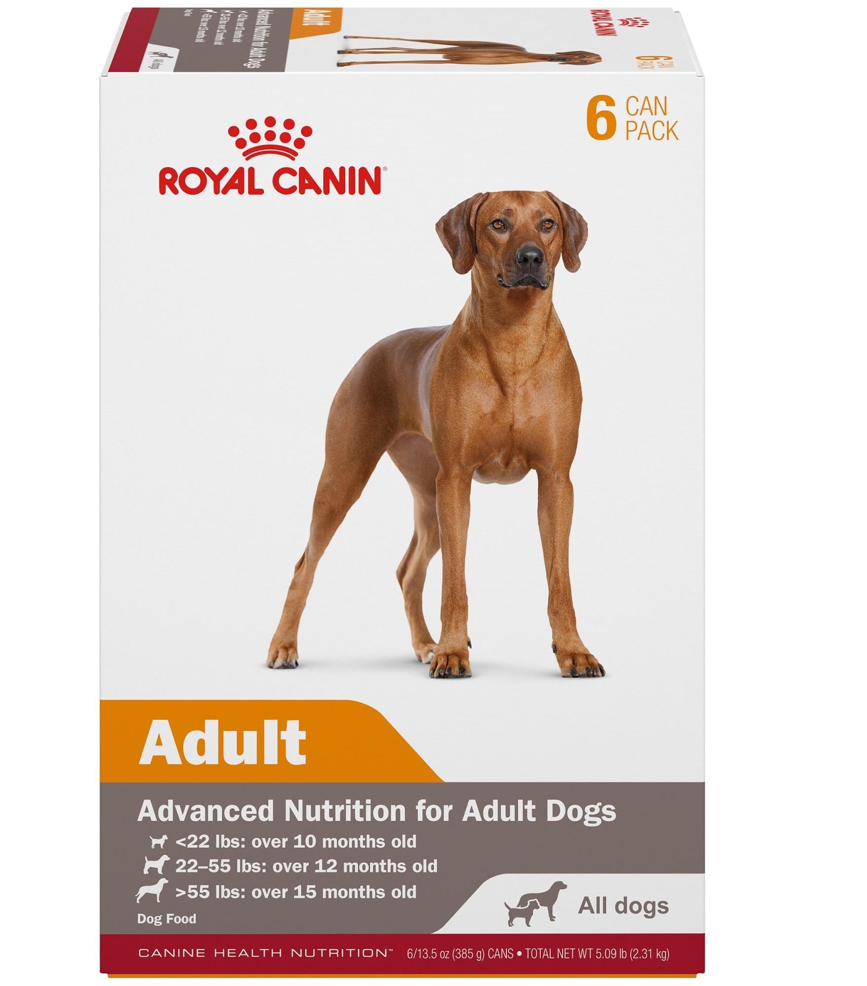 Royal Canin Canine Health Nutrition Adult In Gel Canned Dog Food