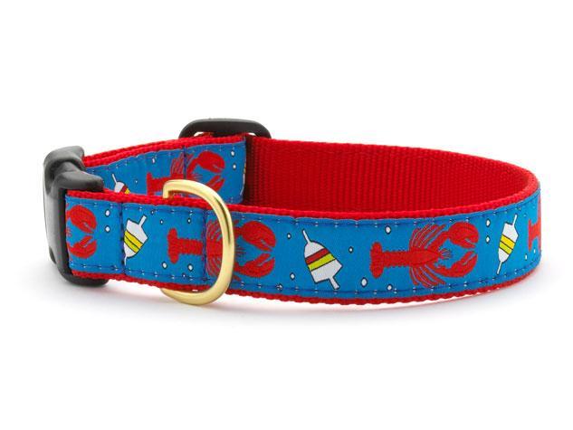 Up Country Dog Collar, Lobster & Bouy, 1-in x 15-21-in