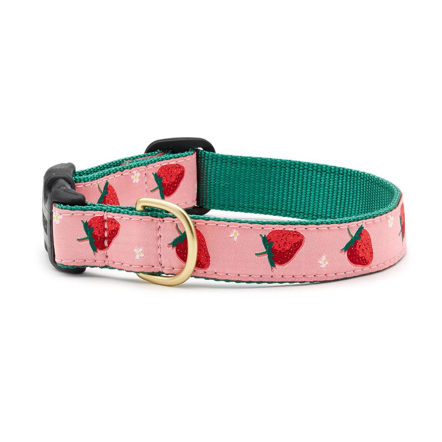 Up Country Dog Collar, Strawberry Fields, 1-in x 12-18-in