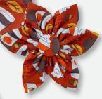 Huxley & Kent Pet Pinwheel, Pupkin Spice Latte, Large