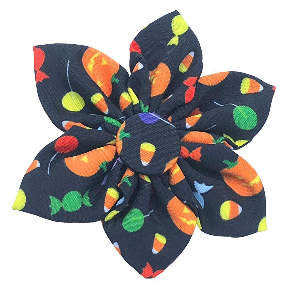 Huxley & Kent Pet Pinwheel, Trick Or Treat, Small