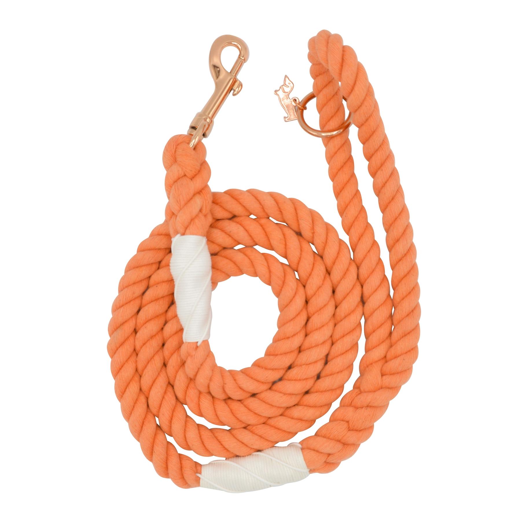 Sassy Woof Rope Dog Leash, Clementine