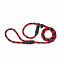 Leather Brothers/OmniPet Slip Dog Lead, Red/Black