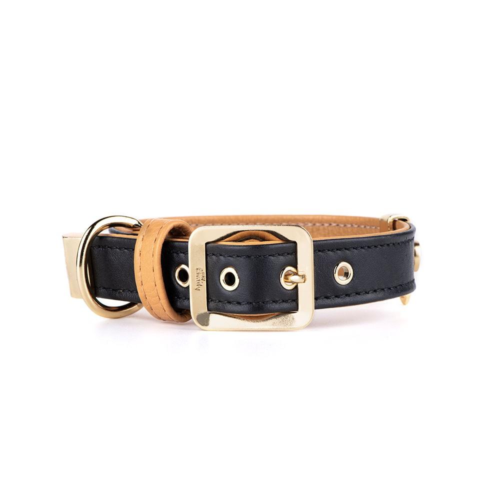 MyFamily Hermitage Gold Genuine Leather Dog Collar, Black/Ochre, Small/Medium