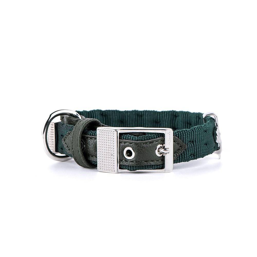 MyFamily Milano Nylon Dog Collar, Green, Medium
