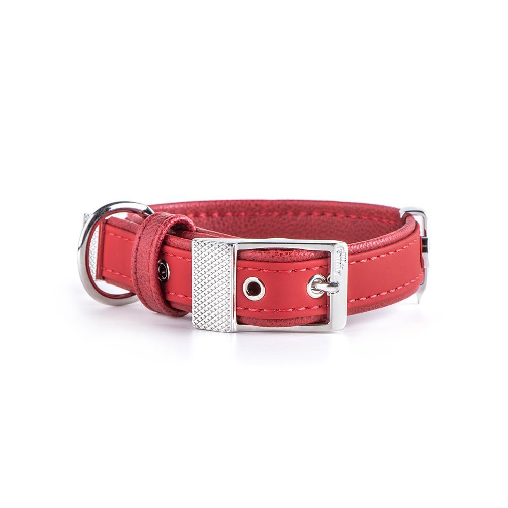 MyFamily Bilbao Synthetic Fiber Dog Collar, Red, X-Small