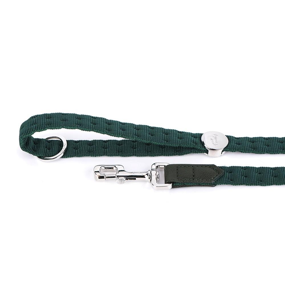 MyFamily Milano Nylon Dog Leash, Green, 3/4-in x 4-ft