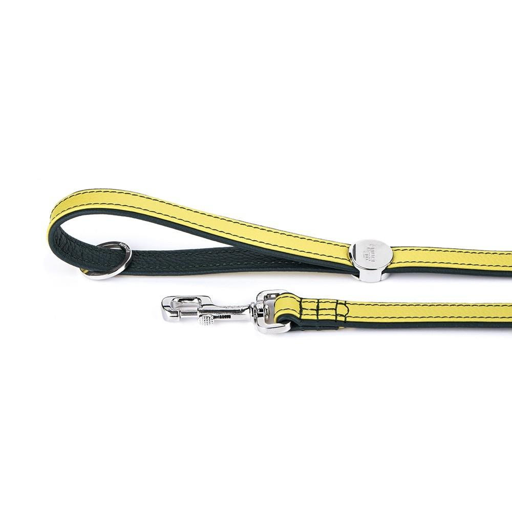 MyFamily Firenze Leather Dog Leash, Lime, 4-ft