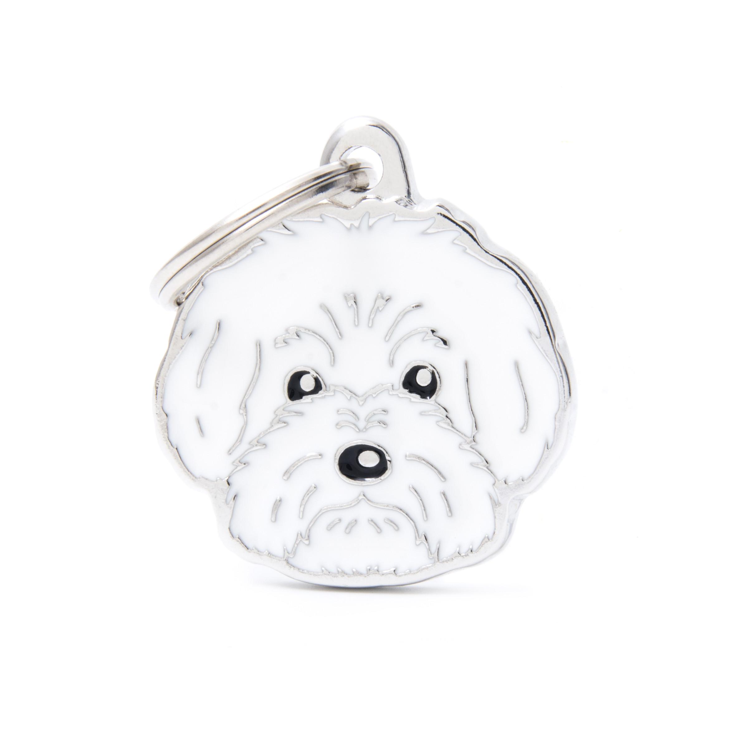 MyFamily Friends Bolognese Pet ID Tag, Medium