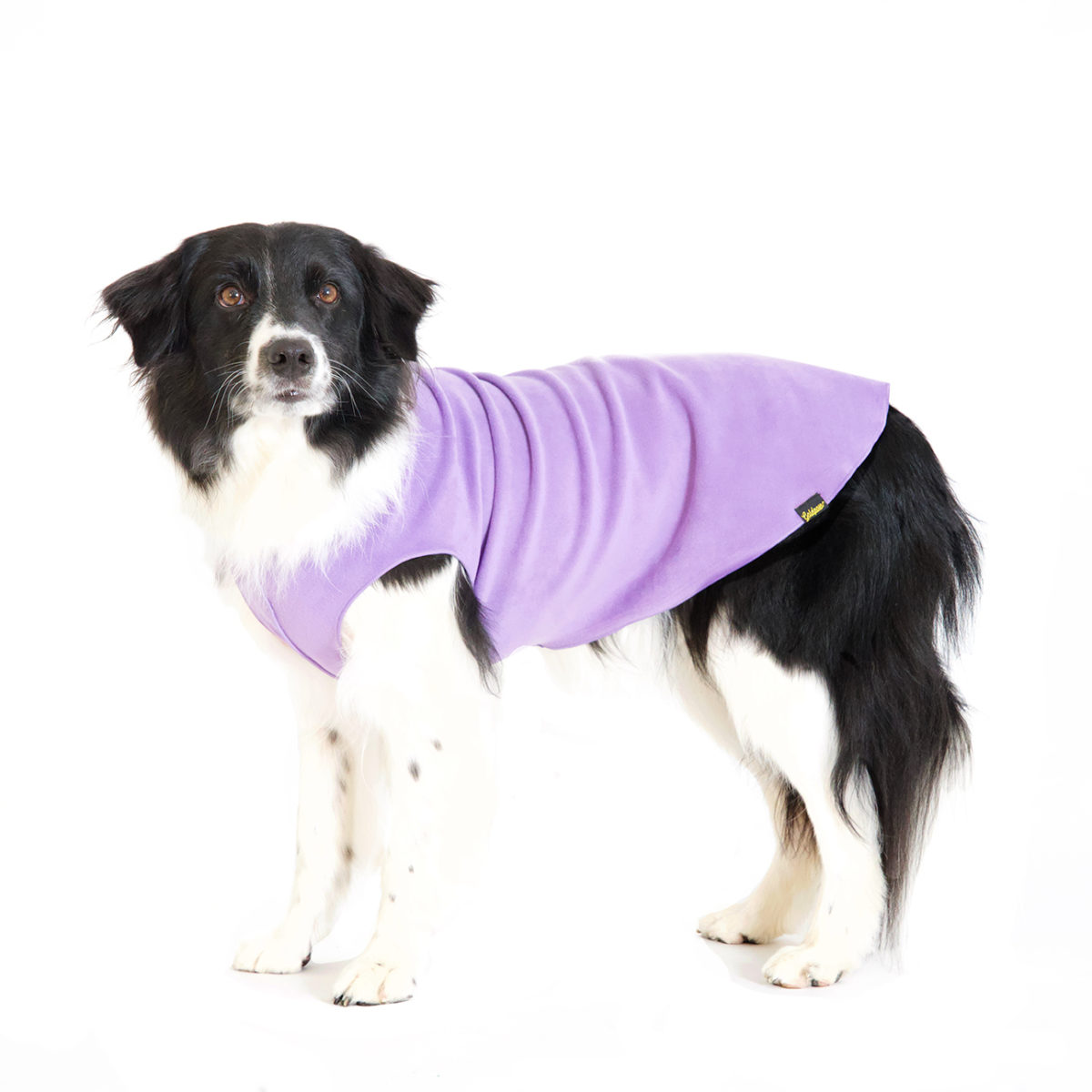 Goldpaw Stretch Fleece Dog Coat, Lavender, 30