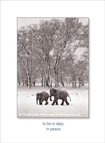 The Borealis press Holiday Box Cards, To Be in Step, 6-pack