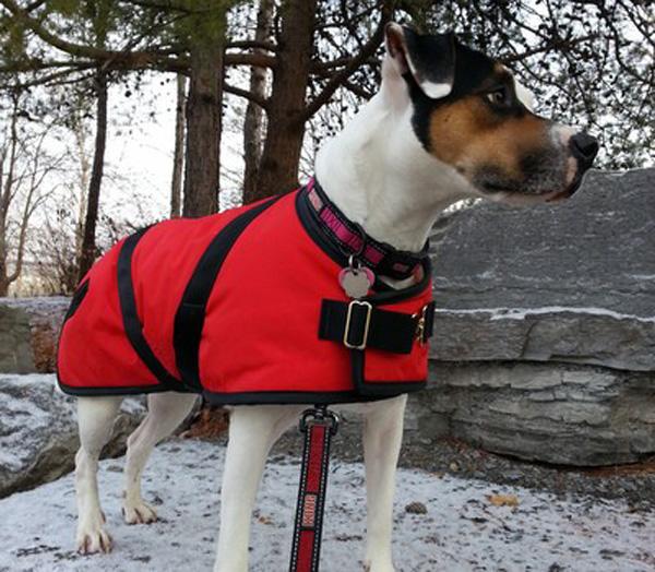 Foggy Mountain Nylon Turnout Dog Coat, Assorted Patterns, 18-in
