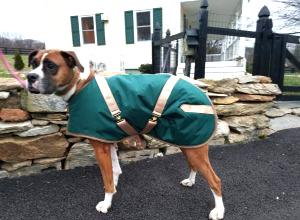 Foggy Mountain Basset Nylon Dog Coat, 22-in