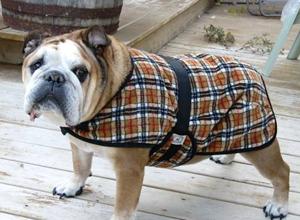 Foggy Mountain English Bulldog Fleece Snugglers Dog Coat, Assorted Patterns