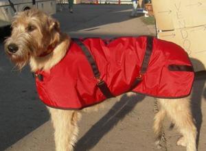 Foggy Mountain Great Dane Nylon Turnout Dog Coat, Assorted Colors, 32-in