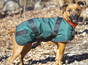 Foggy Mountain Whippet Nylon Dog Coat, Assorted Patterns