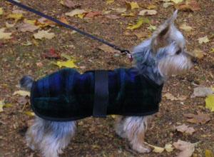 Foggy Mountain Whippet Snuggler Dog Coat, Assorted Patterns, 20-in