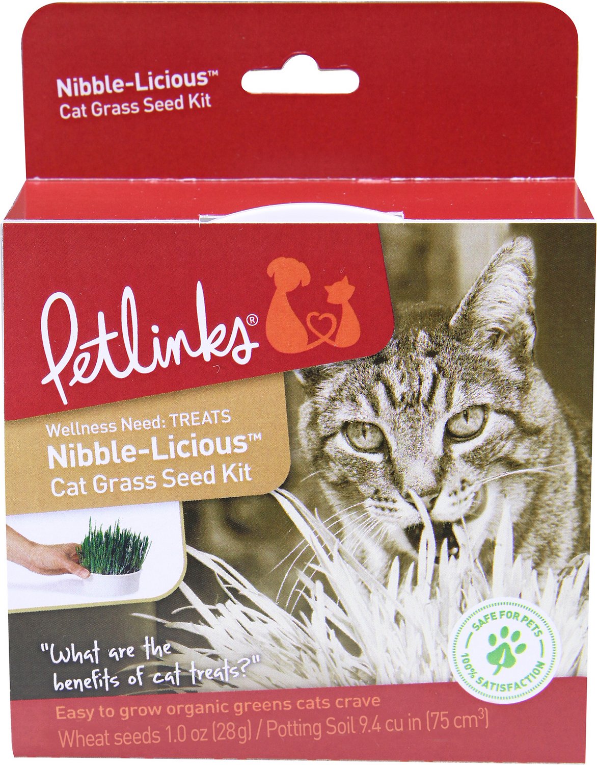SmartyKat Instincts Nibble-Licious Grass Seed Kit
