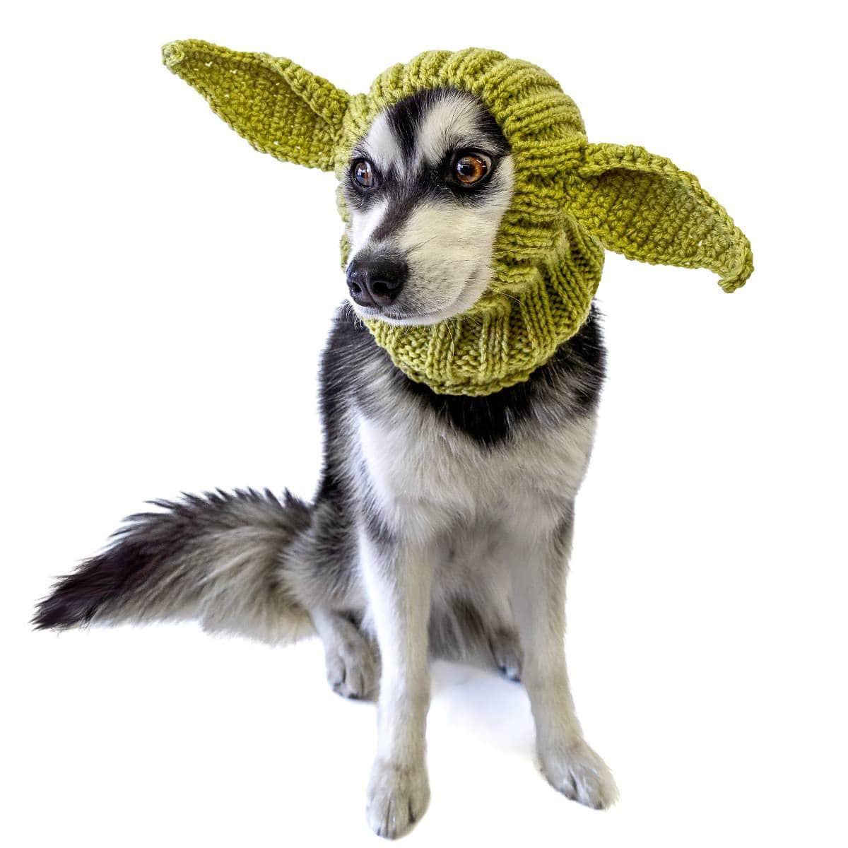 Zoo Snoods Baby Alien Snood for Dogs, Medium