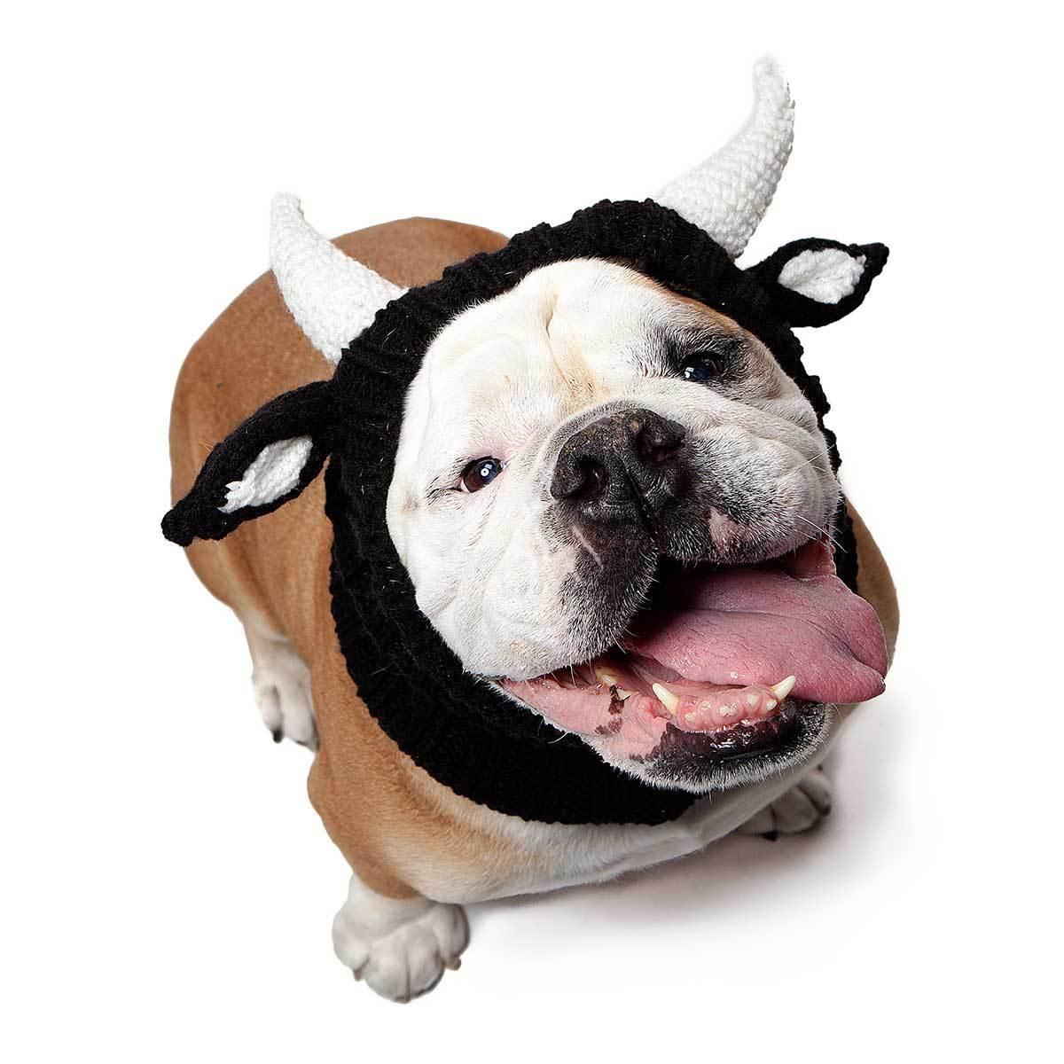 Zoo Snoods Bull Snood for Dogs, Large