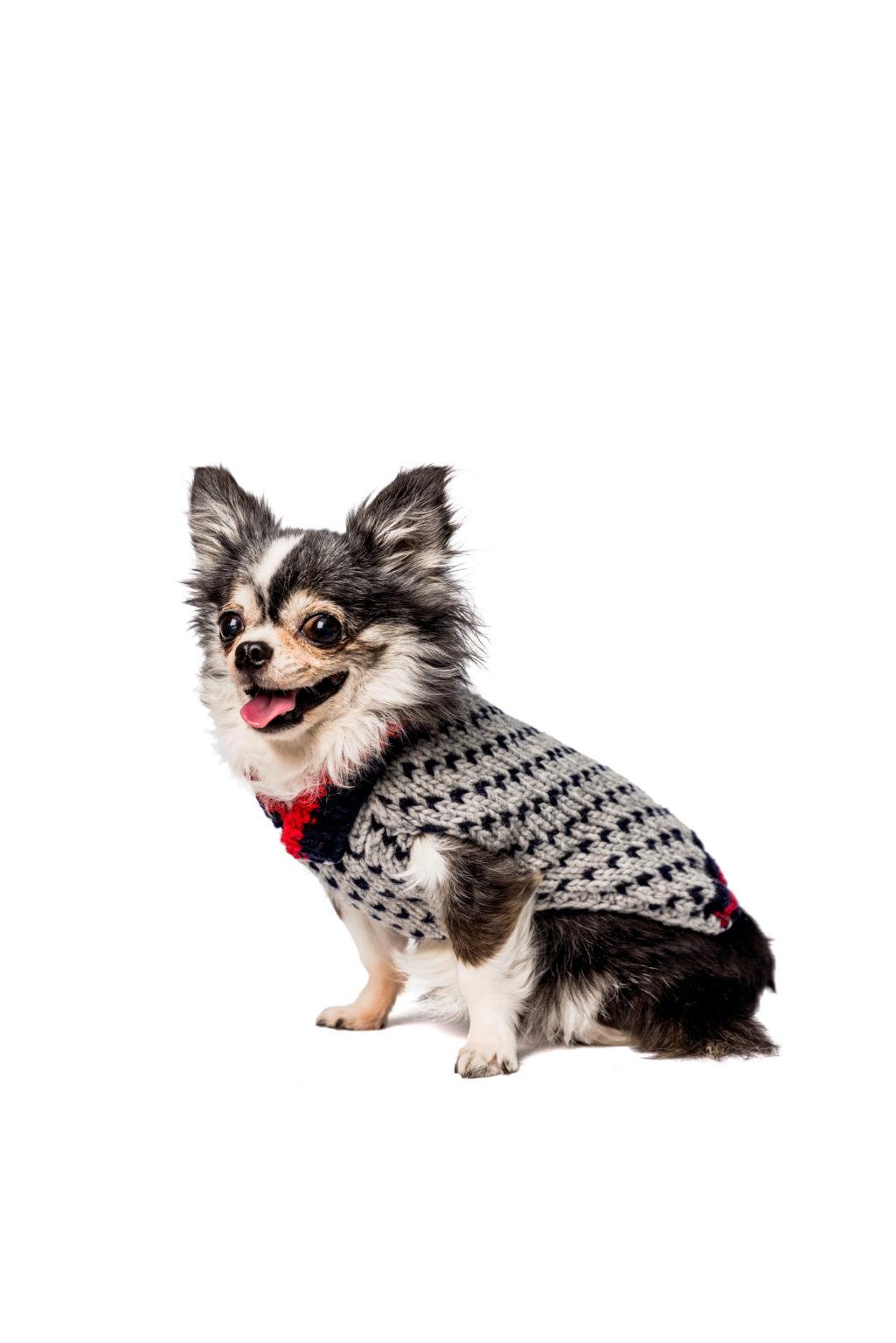 Chilly Dog Wool Dog Sweater, Birdseye, Medium