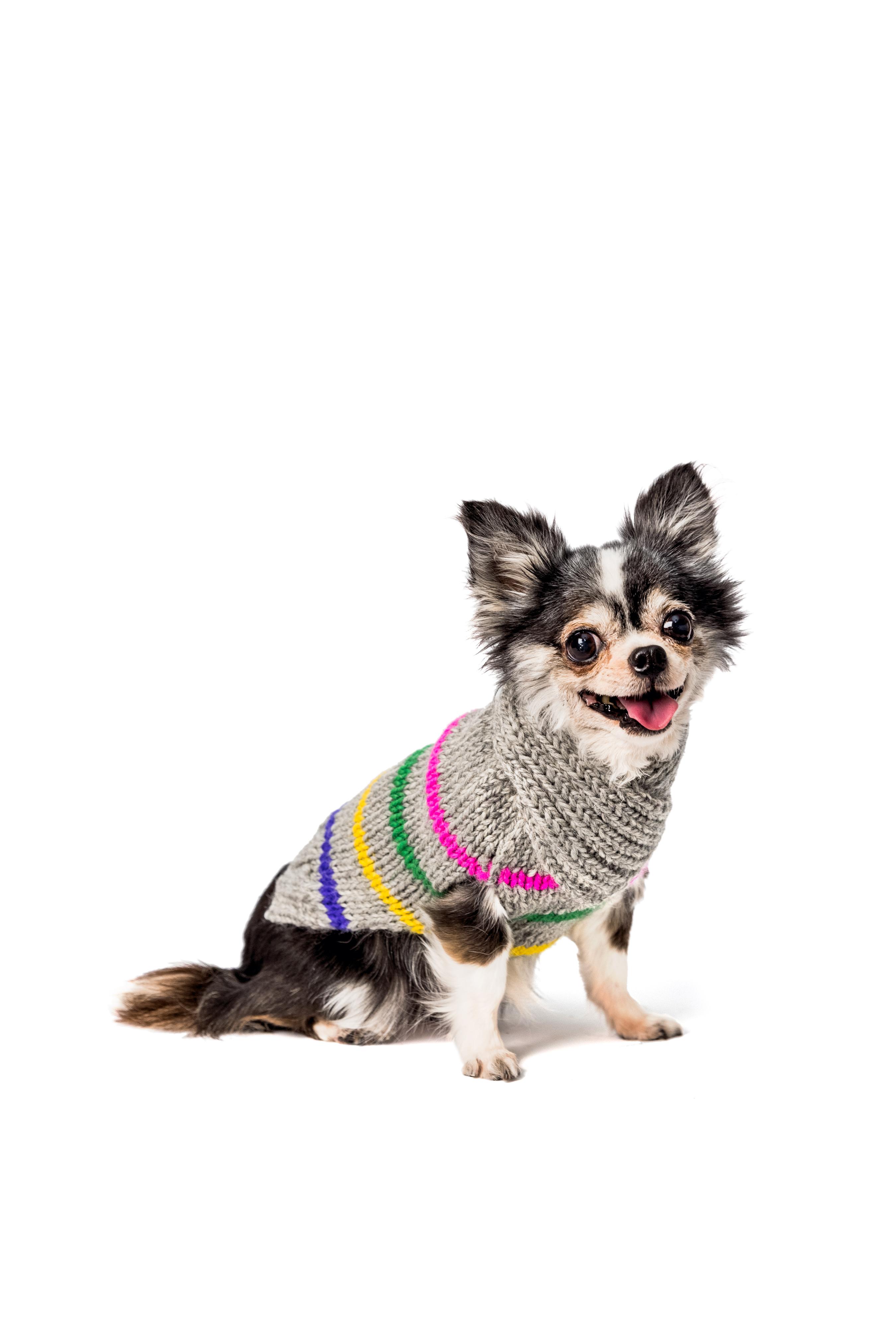 Chilly Dog Alpaca Dog Sweater, Candy Stripe, Medium