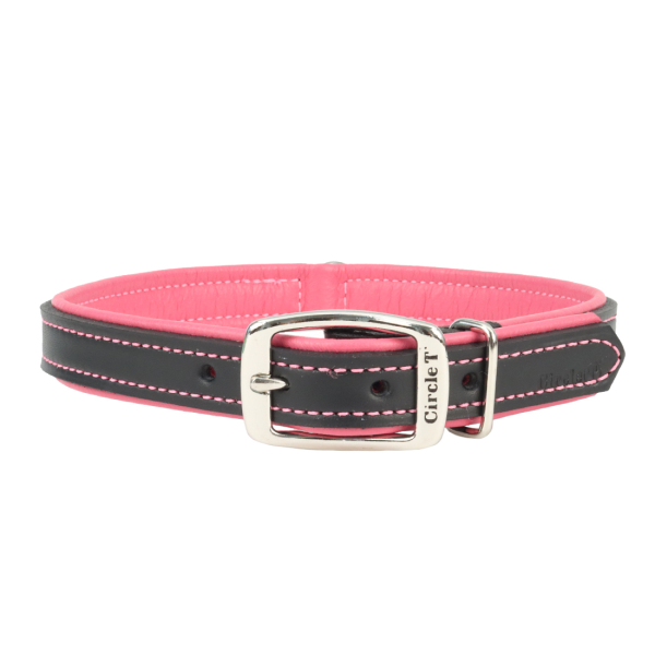 Circle T Double-Ply Fashion Leather Dog Collar, Black & Rosebud