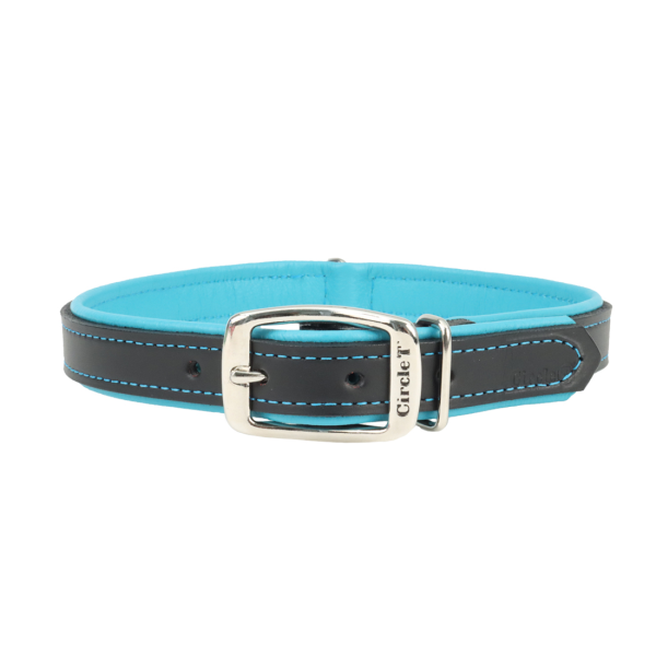 Circle T Double-Ply Fashion Leather Dog Collar, Black & Teal
