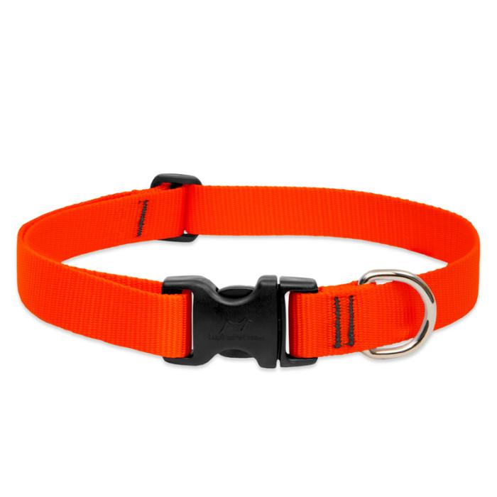 Lupine Pet Basic Solids Adjustable Dog Collar, Blaze Orange, 1-in x 12-20-in