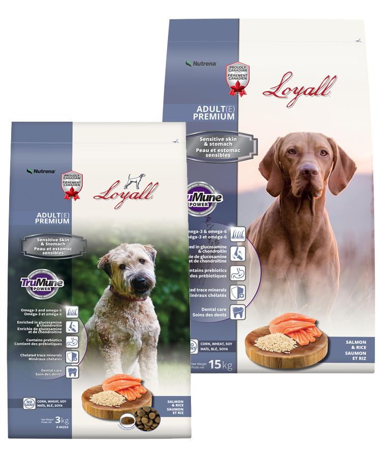 Nutrena Loyall Salmon & Rice Dry Dog Food, 6.6-lb