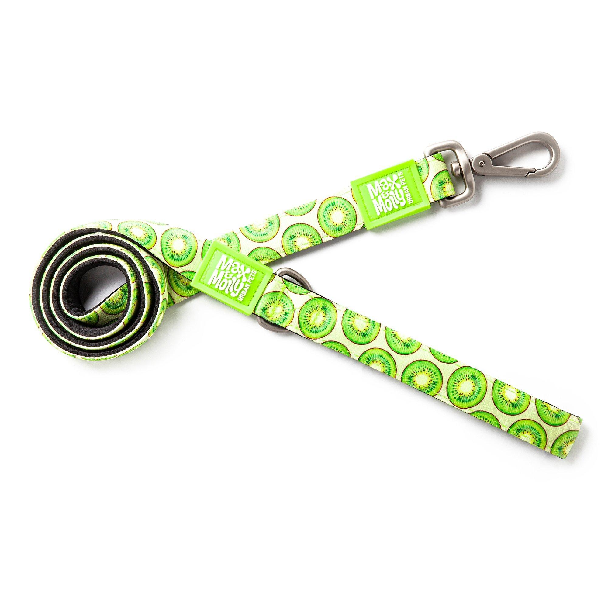 Max & Molly Short Dog Leash, Kiwi, Large