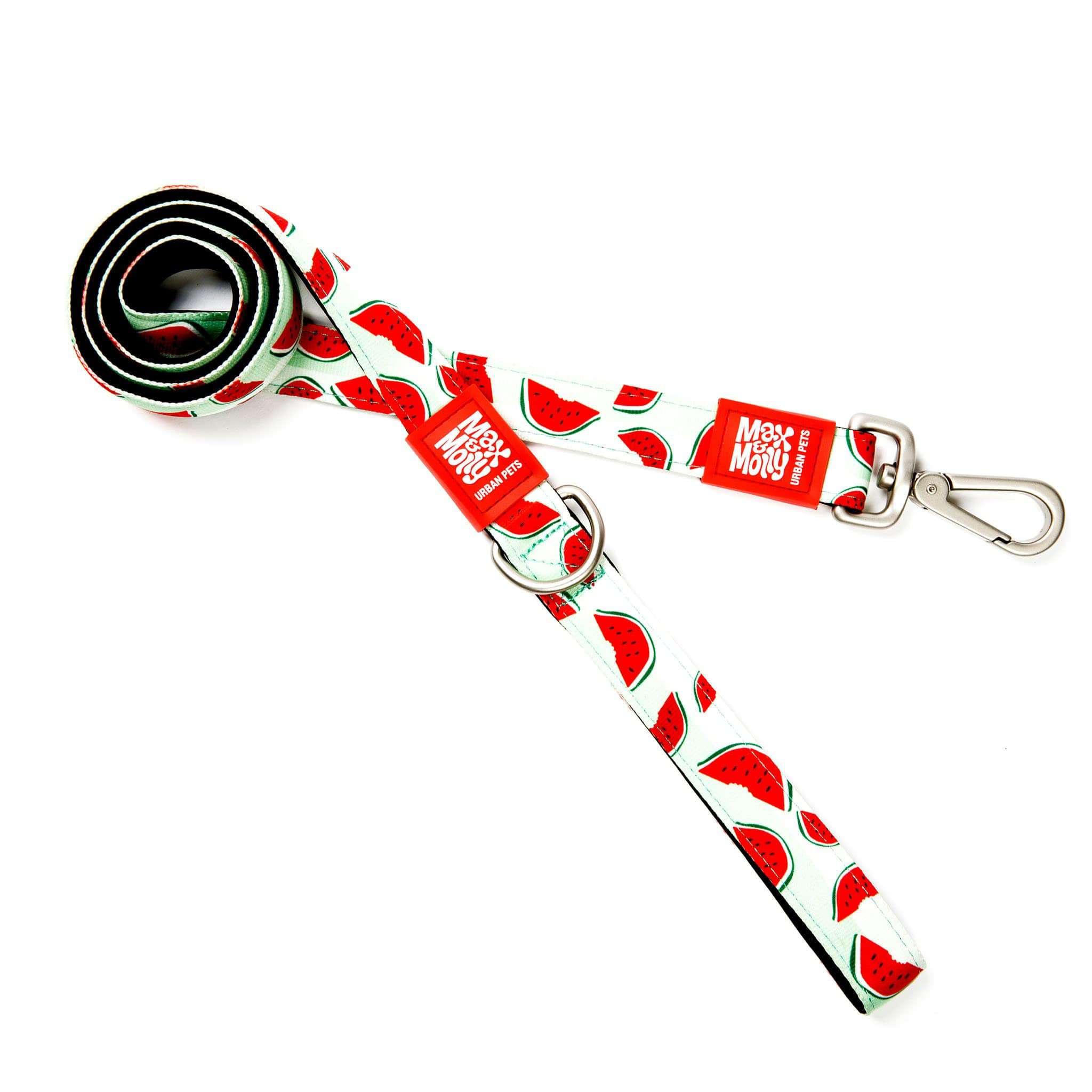 Max & Molly Short Dog Leash, Watermelon, Medium