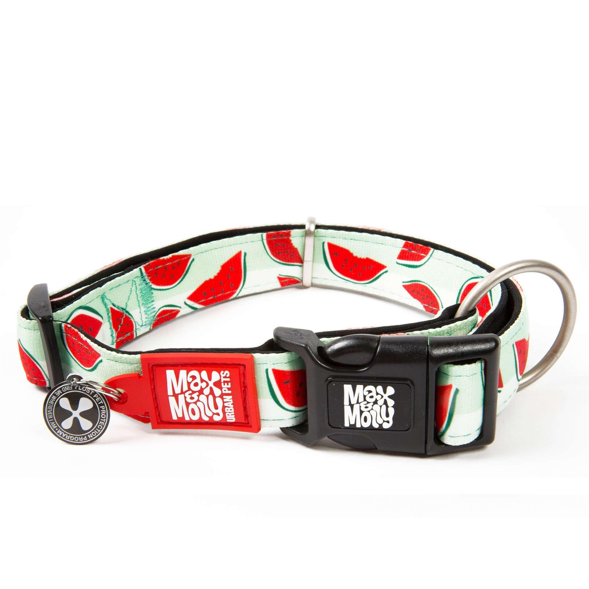 Max & Molly Smart ID Dog Collar, Watermelon, Large