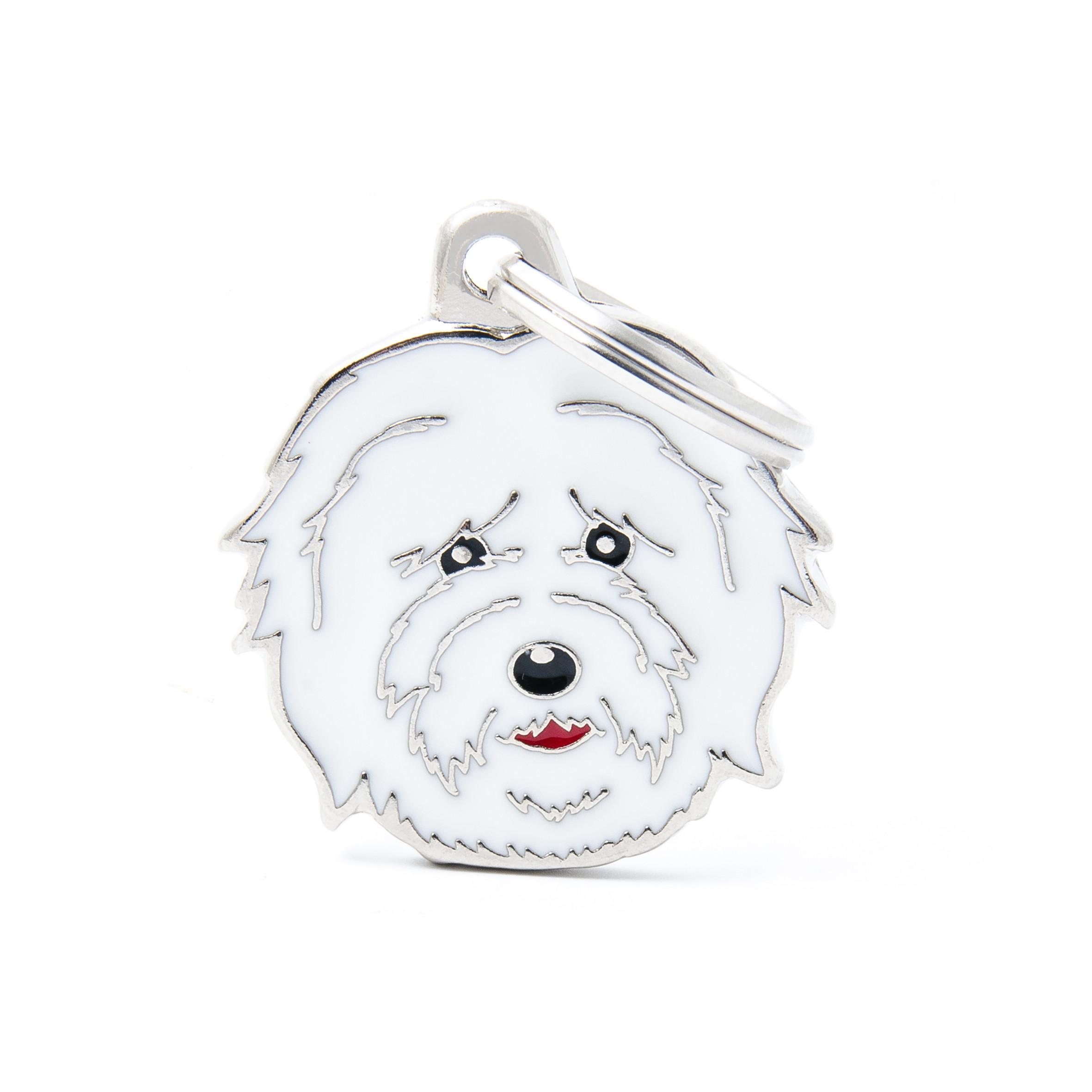 MyFamily Friends Coton De Tulear Pet ID Tag, Medium