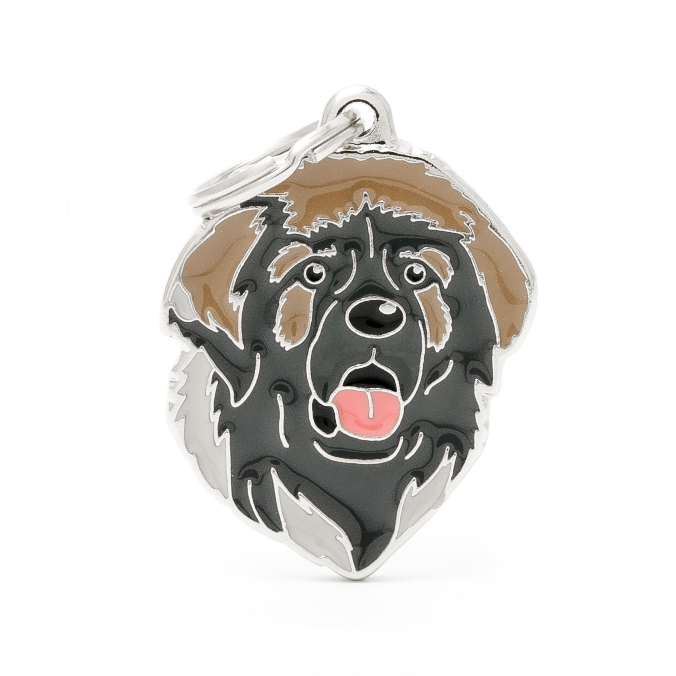 MyFamily Friends Leonberger Pet ID Tag, Medium