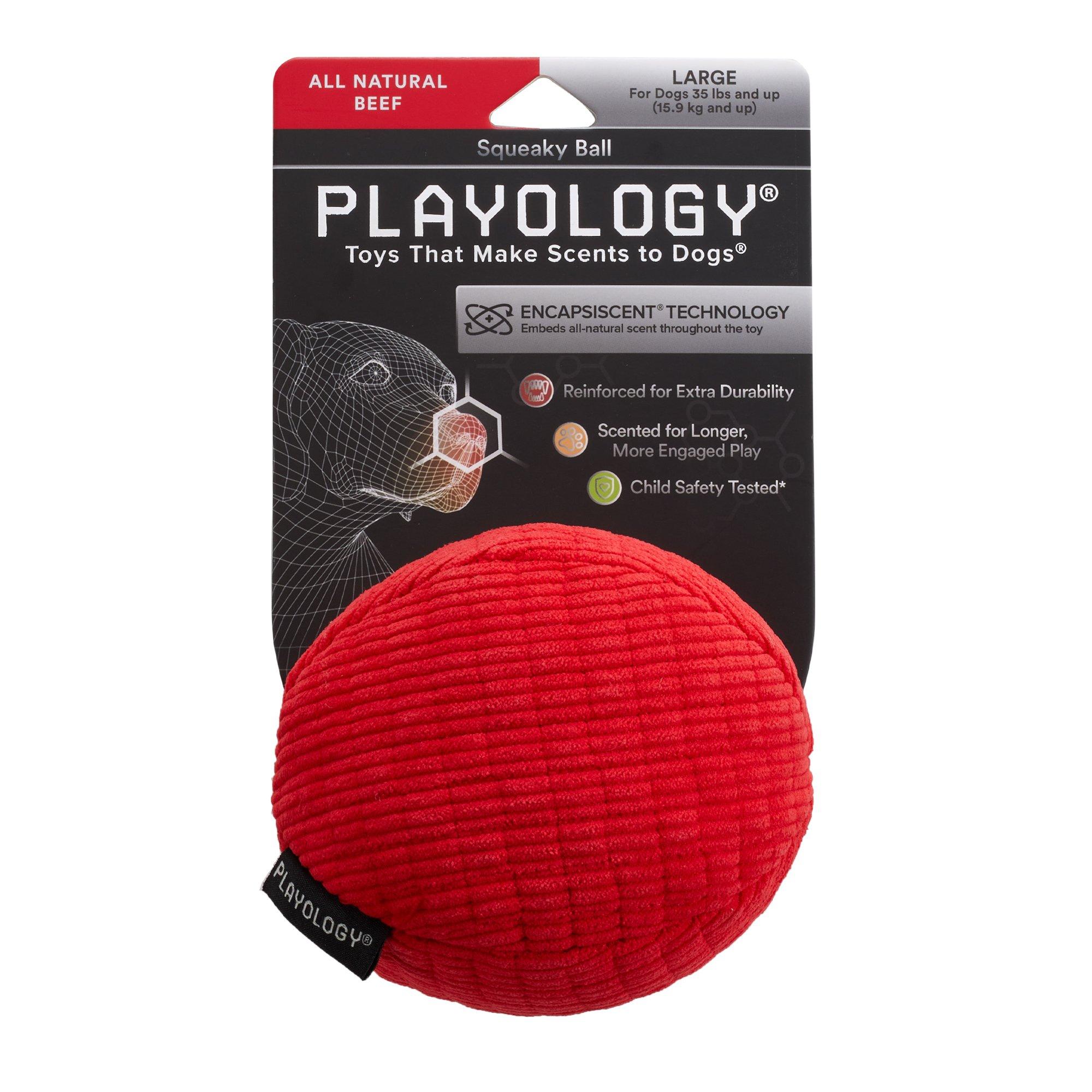 Playology All Natural Beef Plush Squeaky Ball Dog Toy, Large