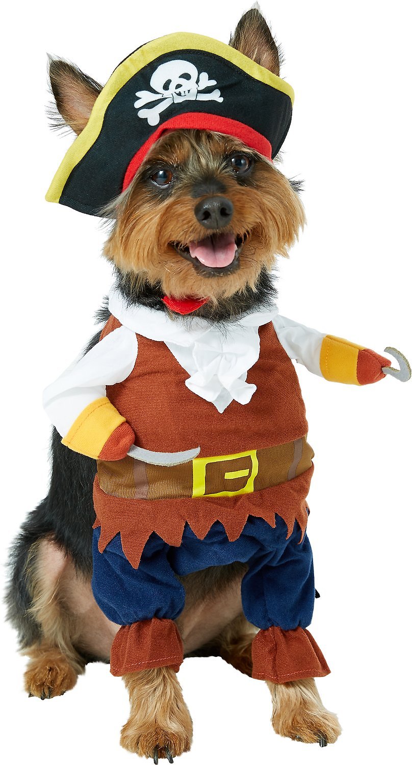 Pet Krewe Pirate Dog & Cat Costume