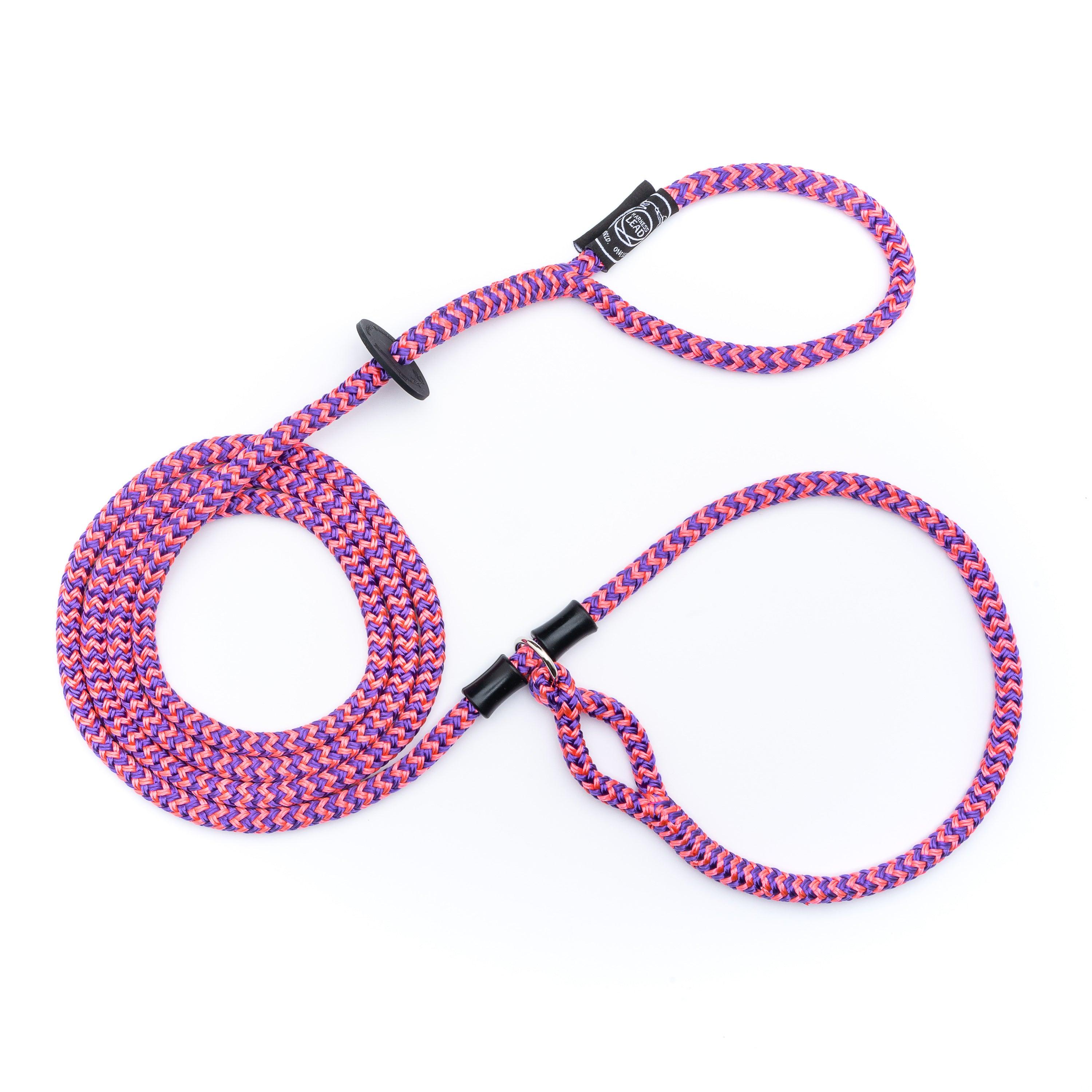 Harness Lead Dog Harness & Lead, Retro Pink/Purple, Small/Medium