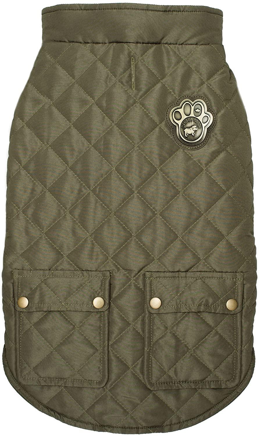 Canada Pooch Cityscape Dog Coat, Green, 22-in