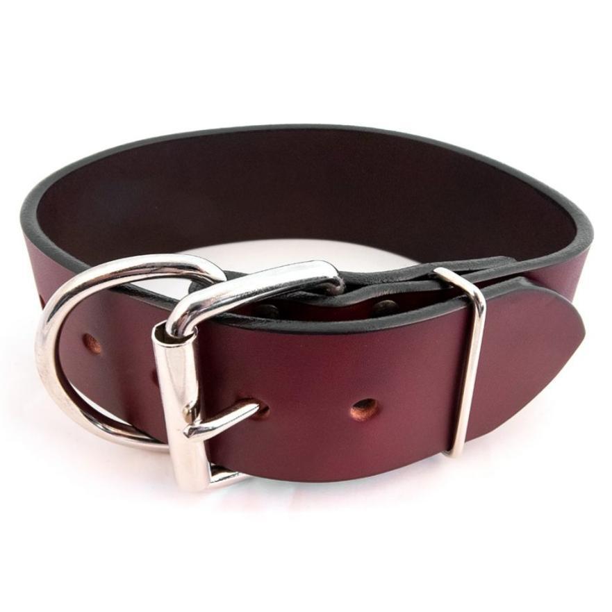 Auburn Leathercrafters Tuff Stuff Dog Collar, Burgundy, 2-in x 20-in