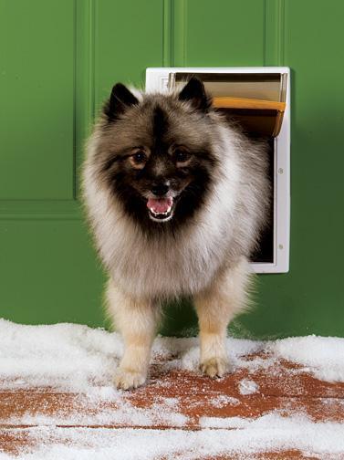 PetSafe Extreme Weather Pet Door, White