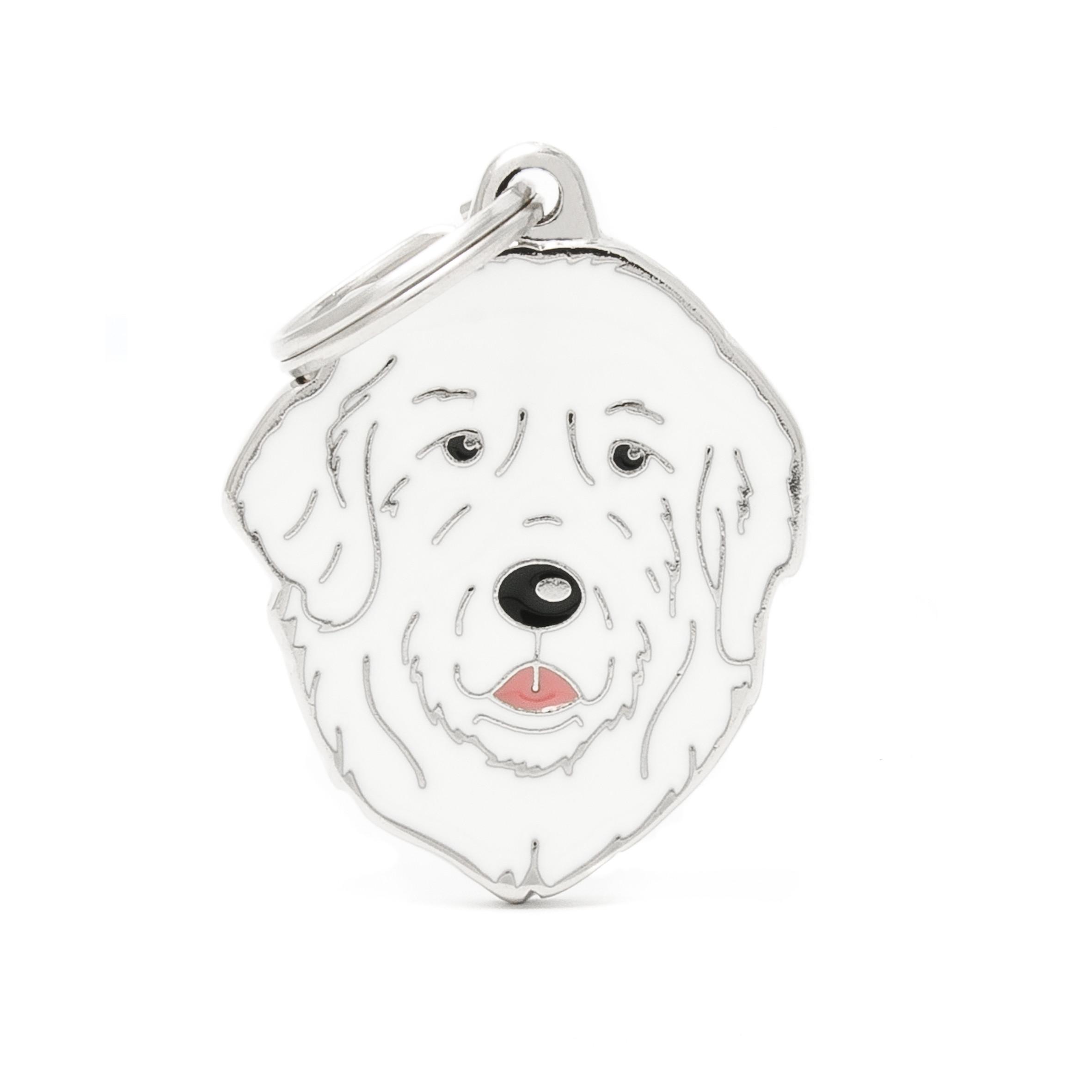 MyFamily Friends Patou Pet ID Tag, Medium