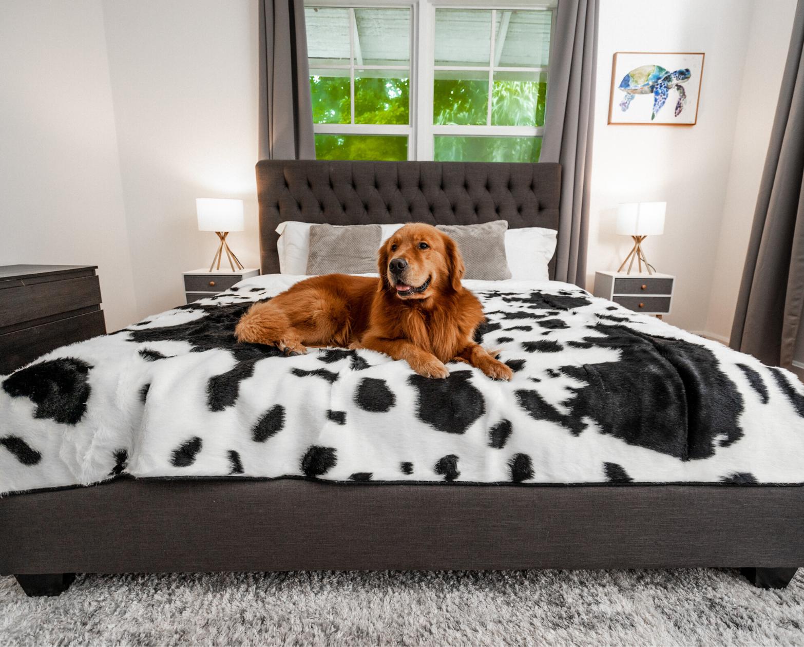 PawBrands PupProtector Waterproof Pet Throw Blanket, Black Faux Cowhide, King