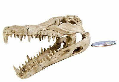 Penn-Plax Crocodile Skull Aquarium Ornament