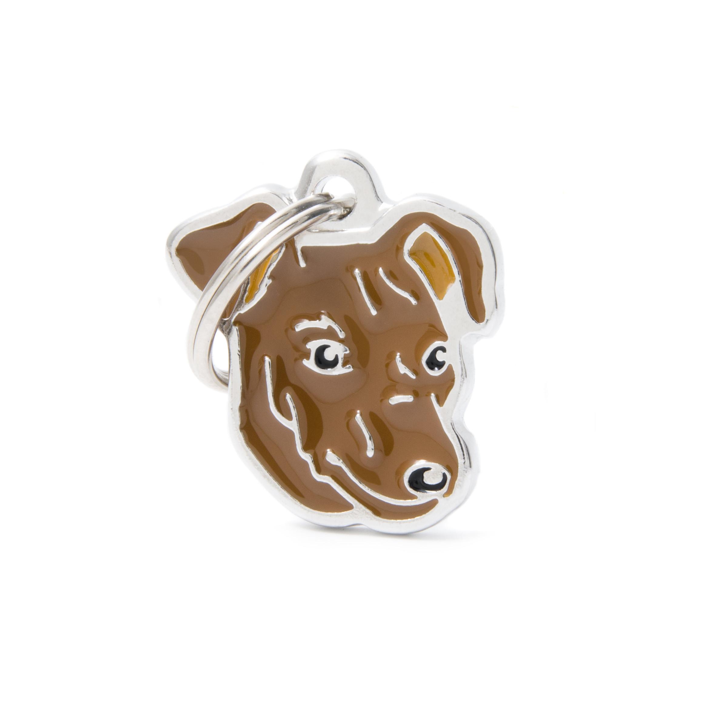 MyFamily Friends Pinscher Pet ID Tag, Red, Medium